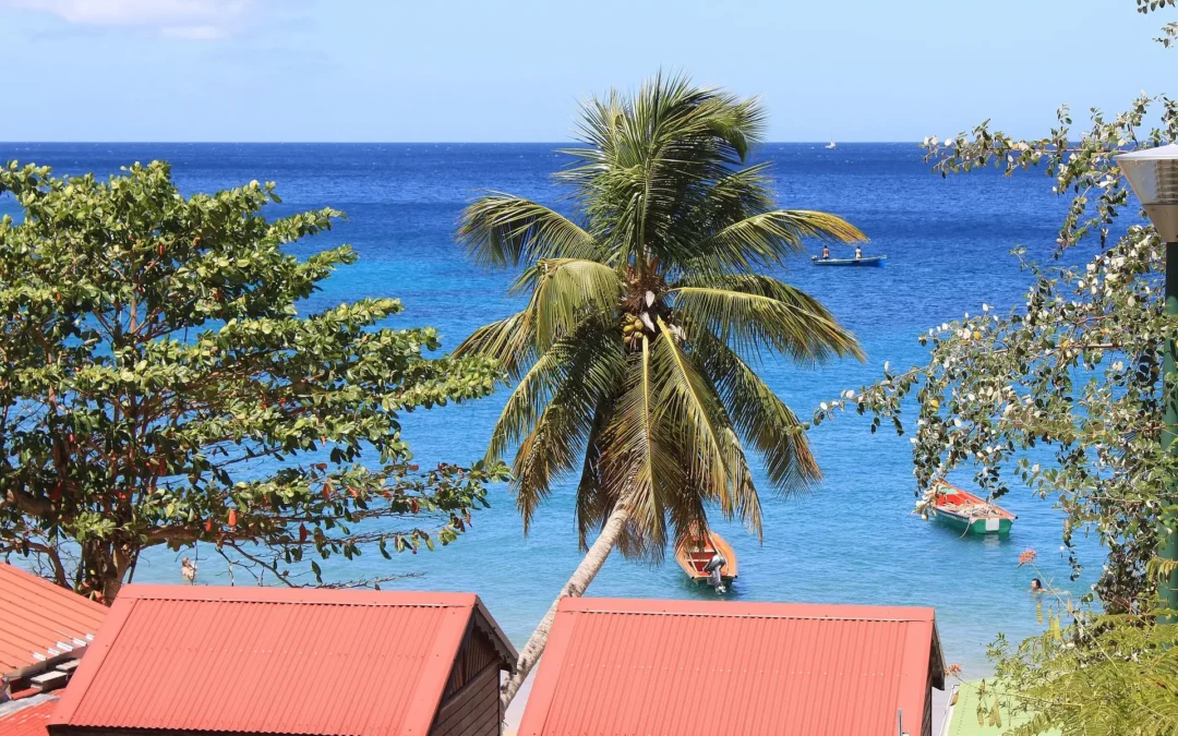 Prix immobilier Martinique 2025